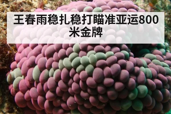 王春雨稳扎稳打瞄准亚运800米金牌